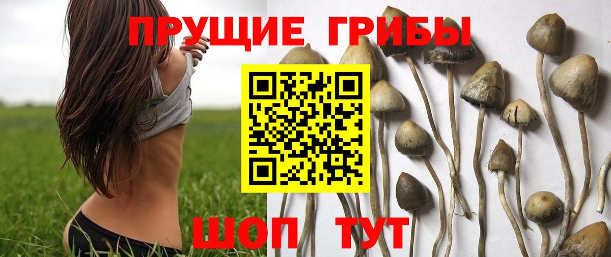 Бутурлиновка  Псилоцибиновые грибы MAGIC MUSHROOMS  Галлюциногенные грибы ЛСД  Вход с VPN 